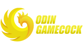 Evolution Gaming