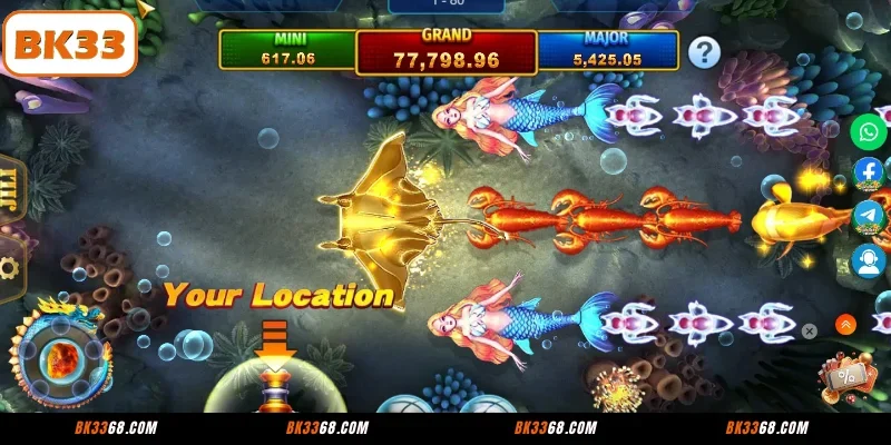 Overview of the Royal Fishing BK33 game