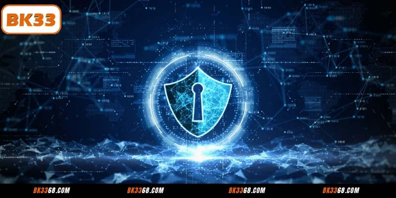 Regulations in the BK33 Privacy Policy to Keep in Mind