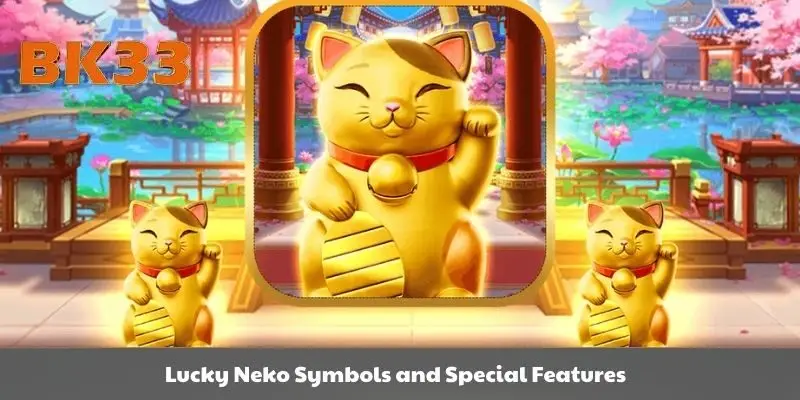 Special features of Lucky Neko