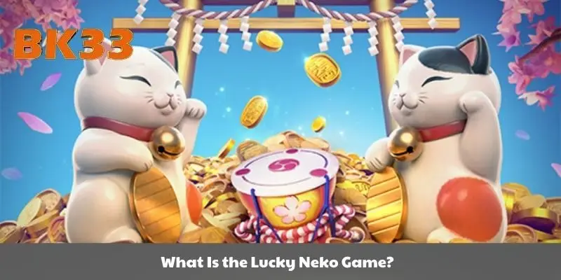 How to play the Lucky Neko game